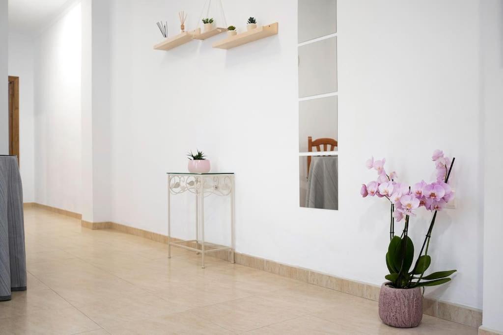 Aptº Jabega "Ideal Para Familias Y Parejas" Renovado 콘일데라프론테라 외부 사진